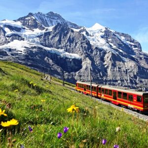 SUÏSSA I EL JUNGFRAU - 5 DIES