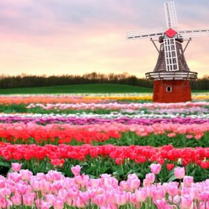 HOLANDA - especial MUSEU VAN GOGH