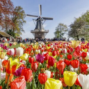 HOLANDA ESPECIAL KEUKENHOF