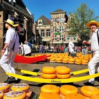 alkmaar-cheese-market