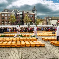 bigstock-Traditional-Dutch-Cheese-Marke-180594769-800x530